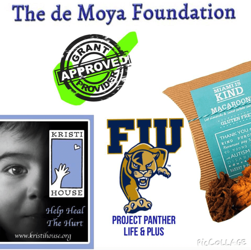 A collage of images with the de moya foundation logo.